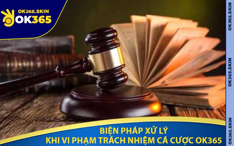 Biện Pháp Xử Lý Khi Vi phạm Trách Nhiệm Cá Cược OK365