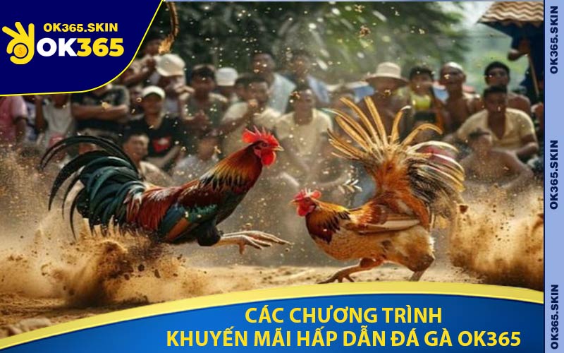 Các Chương Trình Khuyến Mãi Hấp Dẫn Đá Gà OK365