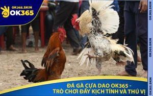 Đá Gà Cựa Dao OK365 - Trò Chơi Đầy Kịch Tính Và Thú Vị