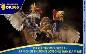 Đa Gà Thomo OK365 - Sân Chơi Thưởng Lớn Cho Dân Đam Mê
