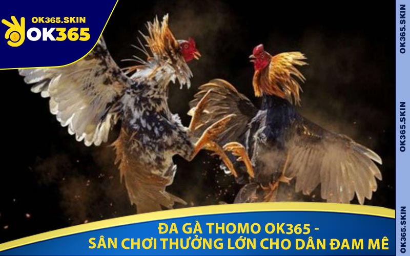 Đa Gà Thomo OK365 - Sân Chơi Thưởng Lớn Cho Dân Đam Mê
