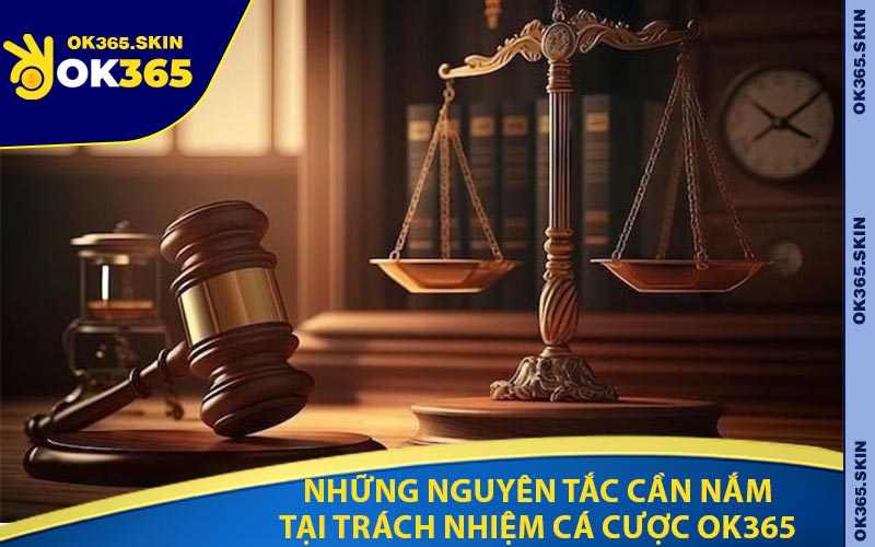 Những Nguyên Tắc Cần Nắm Tại Trách Nhiệm Cá Cược OK365
