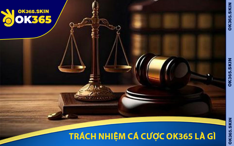 Trách Nhiệm Cá Cược OK365 Là Gì